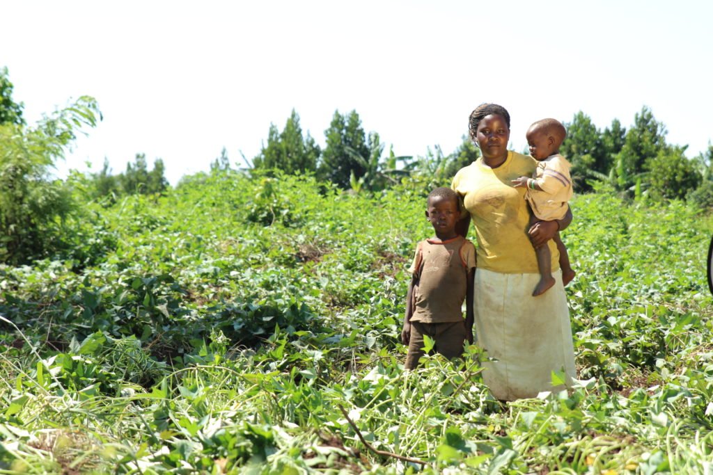 agrofloresta família uganda
